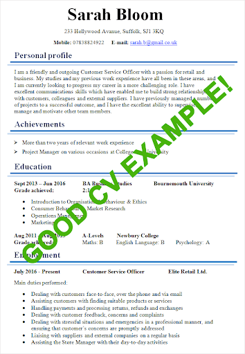CV Formats: PDF CV Templates Screen 2