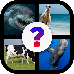Guess the pictures-تدريب العقل