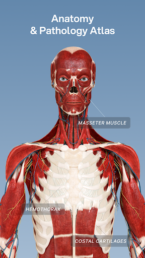 VOKA 3D Anatomy & Pathology screenshot 1