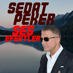 Cover Image of Unduh Sedat Peker Ses efektleri 1.3 APK
