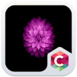 Purple Flower CLauncher Theme icon