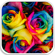 Rainbow Colour Wallpapers HD