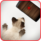 Laser Cat Simulator icon