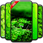 Cover Image of 下载 Green Wallpaper  APK