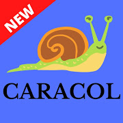 Top 40 Music & Audio Apps Like Radio Caracol en Vivo; CARACOL Radio Gratis - Best Alternatives