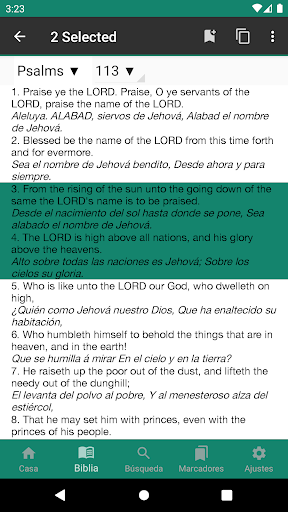 English - Spanish Bible Screen 3