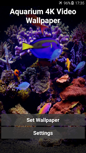 Android application Aquarium 4K Video Wallpaper screenshort