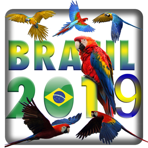 Images Of Parrots Google Play 上的应用