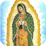 Virgen de Guadalupe Grande icon