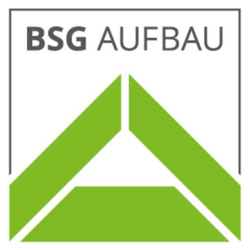 BSG - Google Play 앱