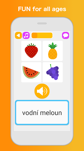 Screenshot of Learn Czech Language