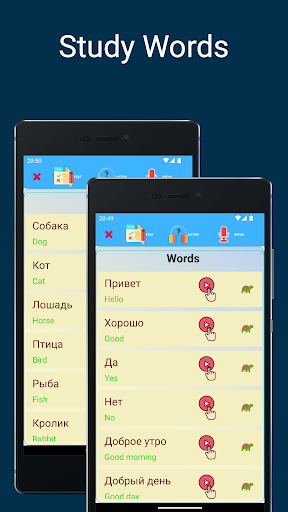 Learn Russian Words Screen 2
