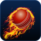 Cricket 65 icon