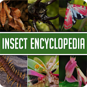 Top 37 Books & Reference Apps Like Animal Encyclopedia of Insects - Best Alternatives