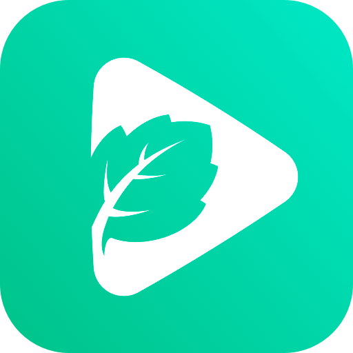 MintyMoments Download on Windows