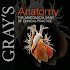Grays Human Anatomy- Latest Edition1.0