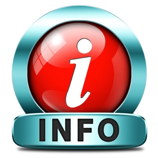 RS Info logo