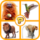 Guess the Animals Quiz 2021