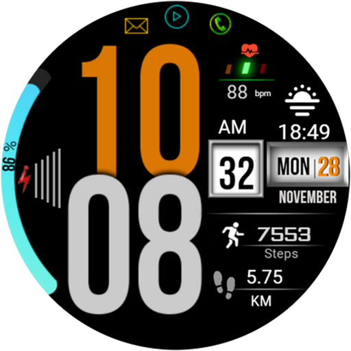 FSW214 WATCHFACE logo