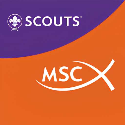 Scouts MSC - IMPACTO logo