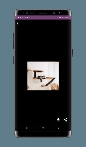 Cat Wall shelves Screenshot 1 - AppWisp.com