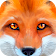Ultimate Fox Simulator icon