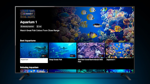 Screenshot of Aquariums TV