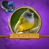Master Burung Kenari MP3 icon