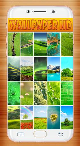 Green Nature Wallpaper Screen 2