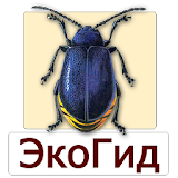 ЭкоГид: Насекомые-вредители - старая версия icon
