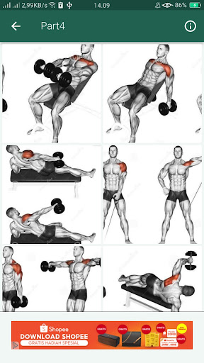 Android application Fitness : BodyBuilding Offline screenshort