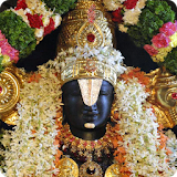 Tirupati Bala Ji Darshan LWP icon