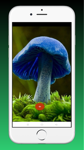 Mushroom Live Wallpaper 3D Screenshot 2 - AppWisp.com