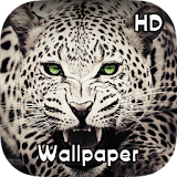 Animal Wild Wallpaper HD icon