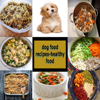 dog food recipes-healthy food
