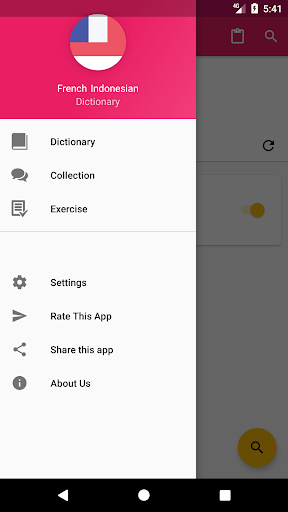 Android application French Indonesian Dictionary screenshort