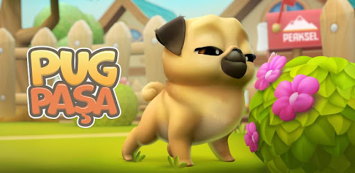 Kopek Bakma Oyunlari Pug Pasa Google Play De Uygulamalar