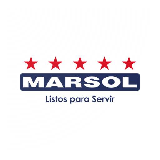 Marsol - Control Inventario logo