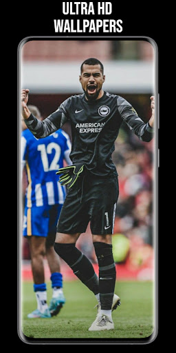 Brighton  Hove FC Wallpaper