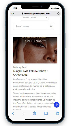 Instituto Synapsisperu