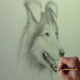 How to draw Dogs icon