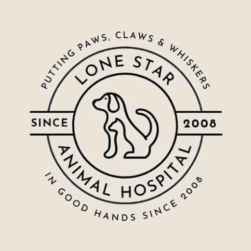 Lone Star AH logo