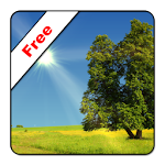 Cover Image of Download True Weather LWP Free 1.1 APK