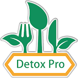 Detox Recipes PRO icon