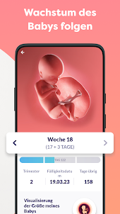 Schwangerschafts-App, SSW