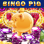 Cover Image of ดาวน์โหลด Bingo Pig 1.0.0 APK