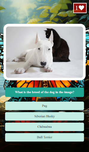 NewQuiz - Imersive Quiz Game Screen 2