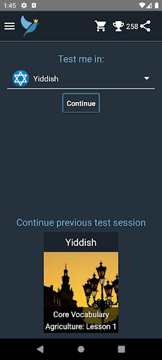Android application Yiddish Language Tests screenshort
