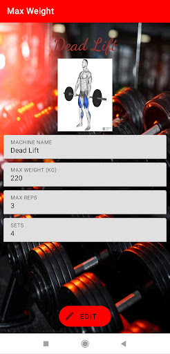 Max Weight Screen 2