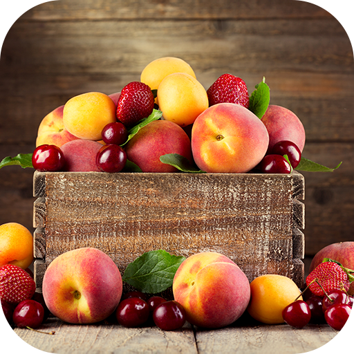 Fruit Wallpaper 2024 logo
